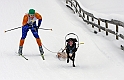 Draghundstävling i Pagla (640x413)